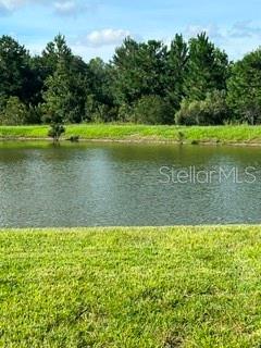 17973 DAIRY FARM CT