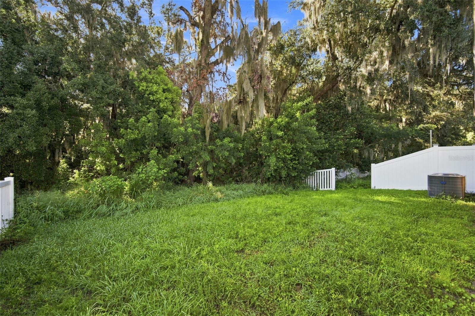 10920 CARLTON FIELDS DR