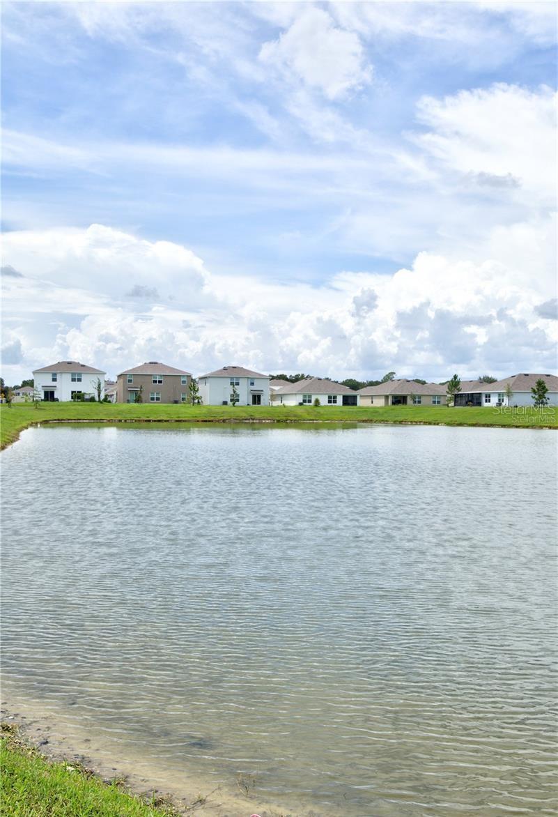 35712 DOVELAND DR