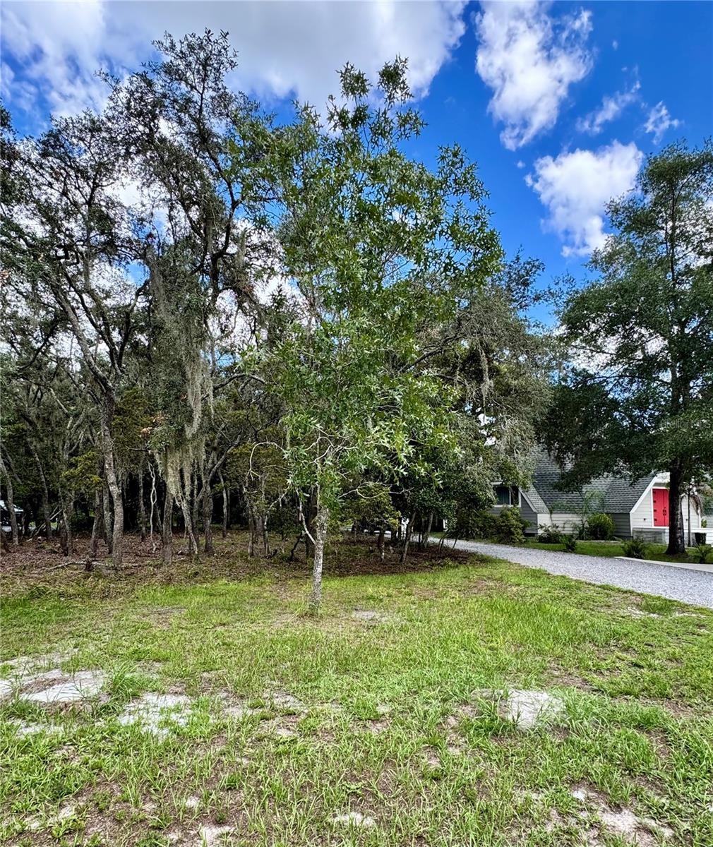 9710 BLACK BEAR CT