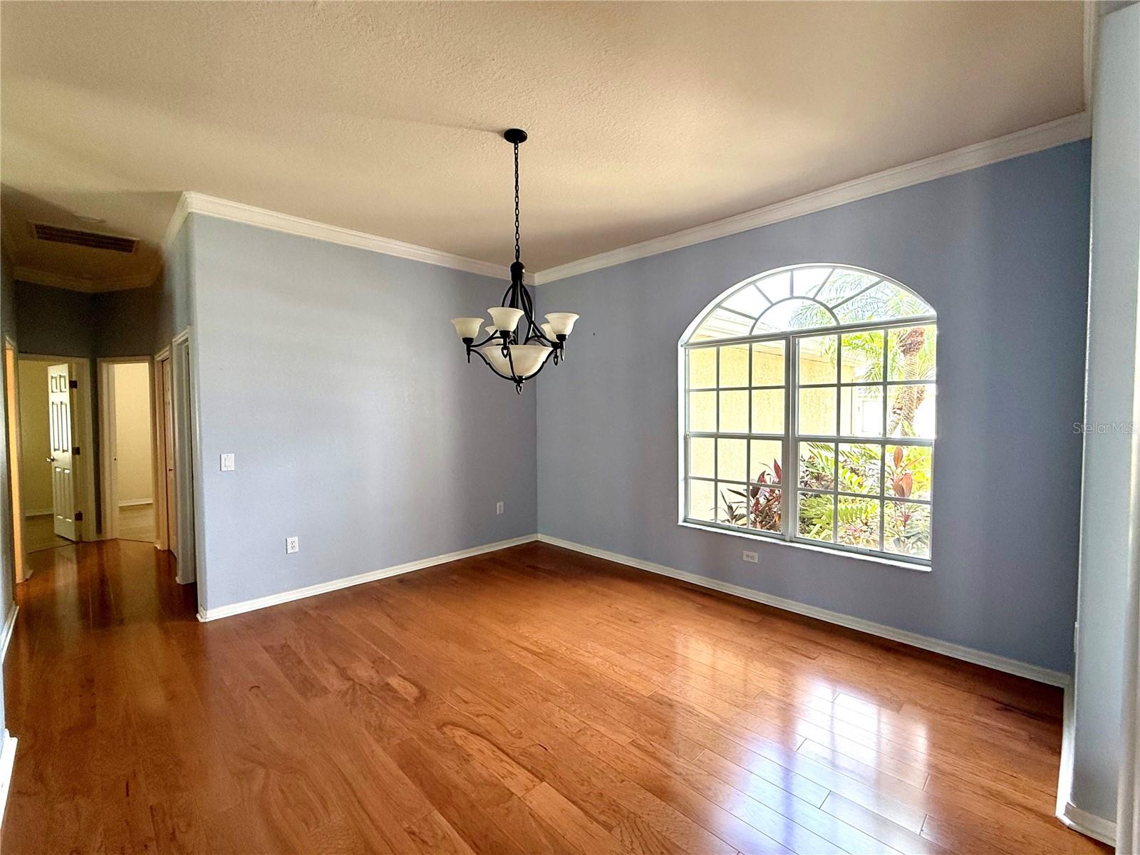 3735 GAVIOTA DR