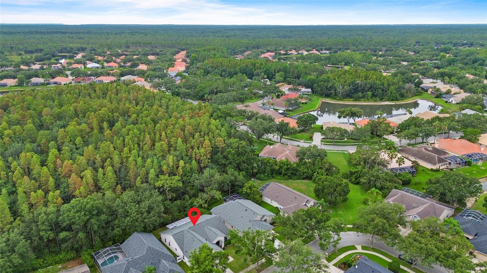 10217 TIMBERLAND POINT DR