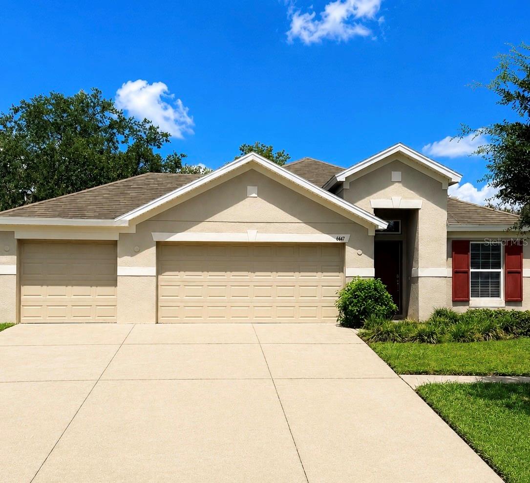 6447 Sparkling Way, Wesley Chapel
