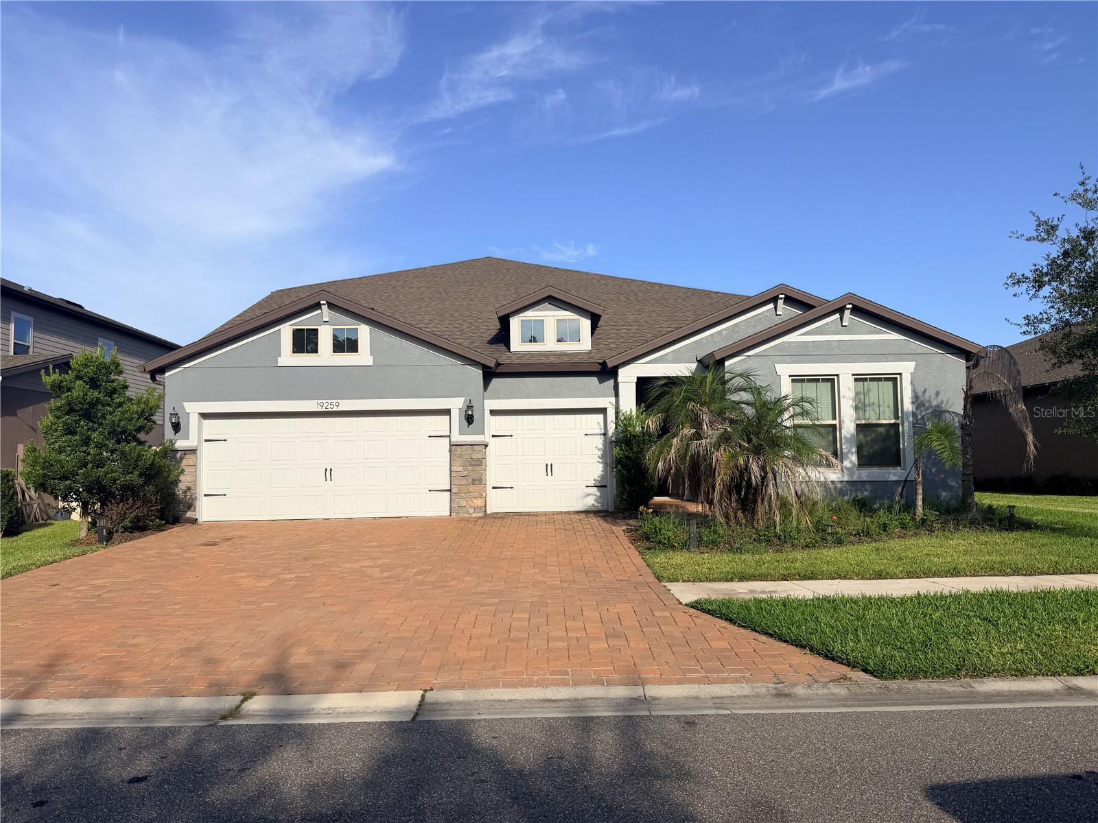 19259 Briarbrook Dr, Tampa