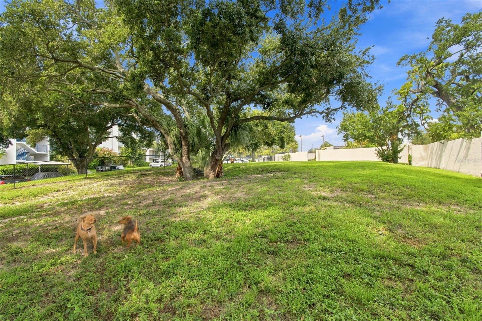 2424 W TAMPA BAY BLVD #L404