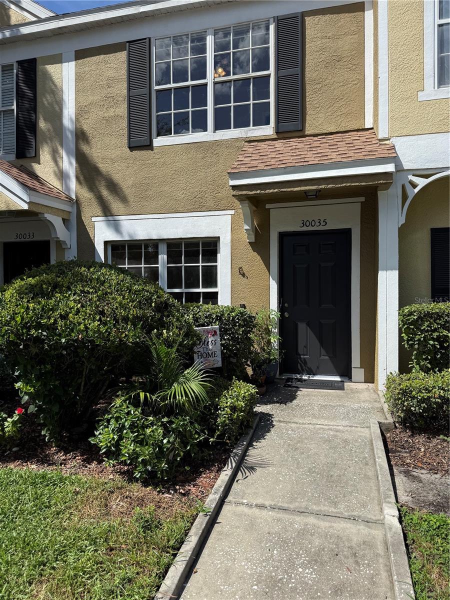30035 Granda Hills Ct, Wesley Chapel