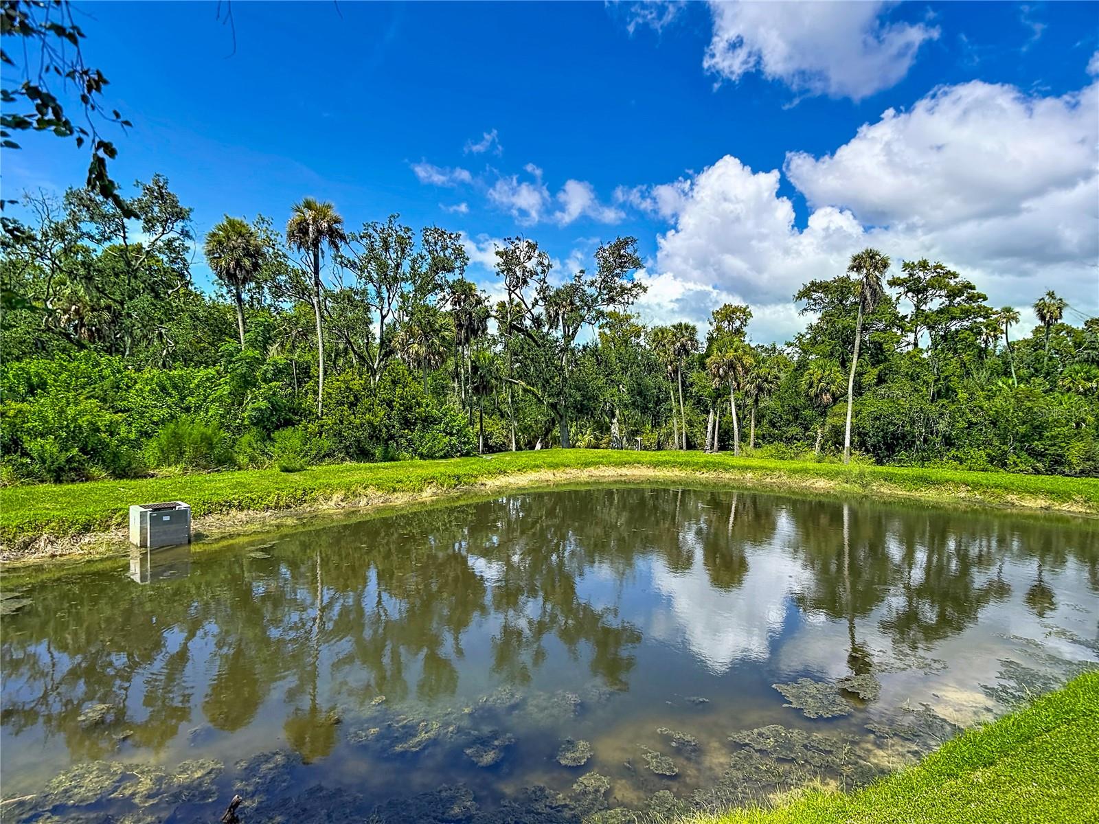 5364 RIVERWALK PRESERVE DR
