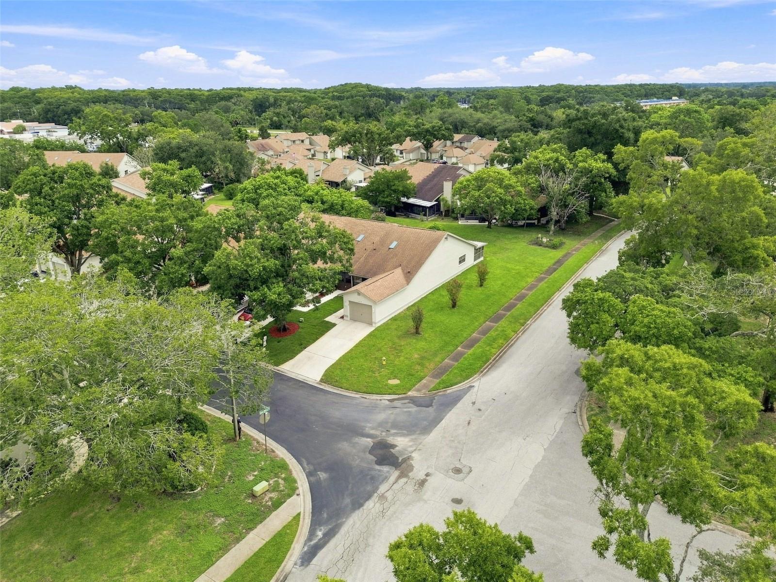 11712 SPRING TREE LN