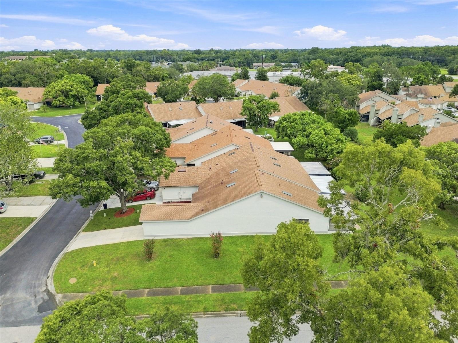 11712 SPRING TREE LN