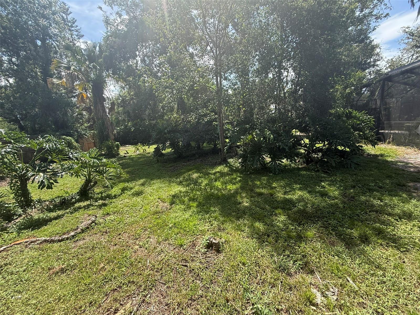 113 LOCUST DR