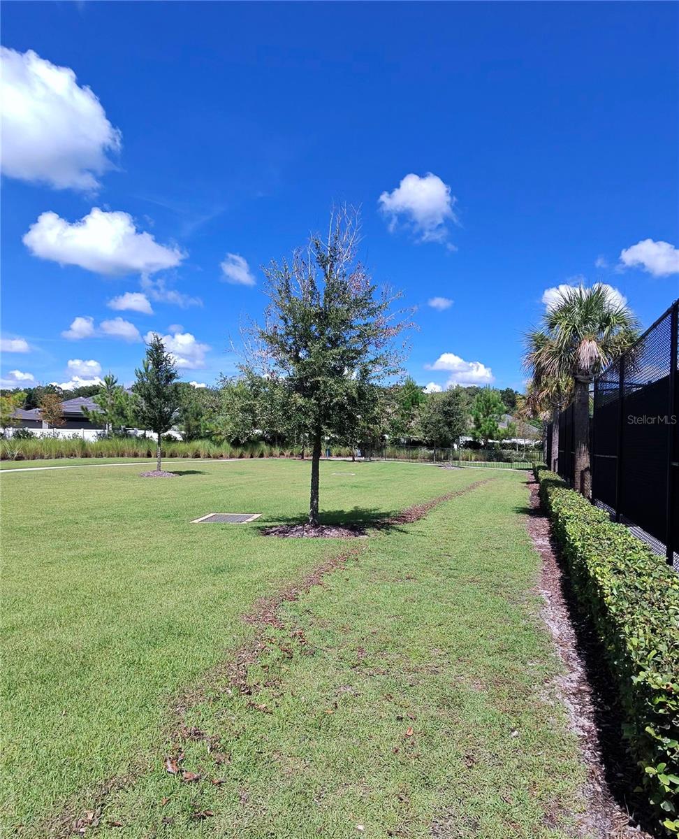 10857 RUSTIC EVE CT