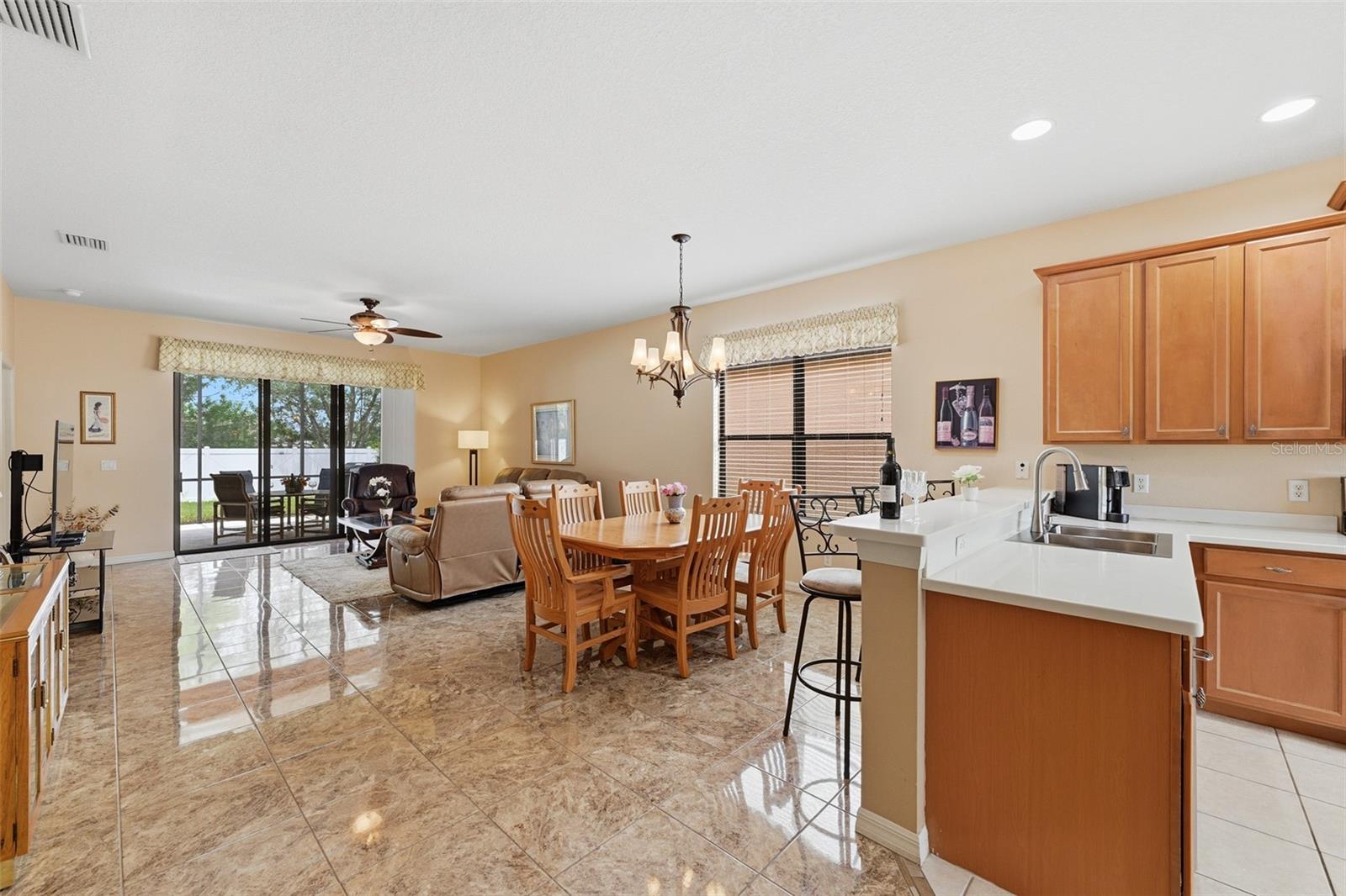 229 SILVER FALLS DR
