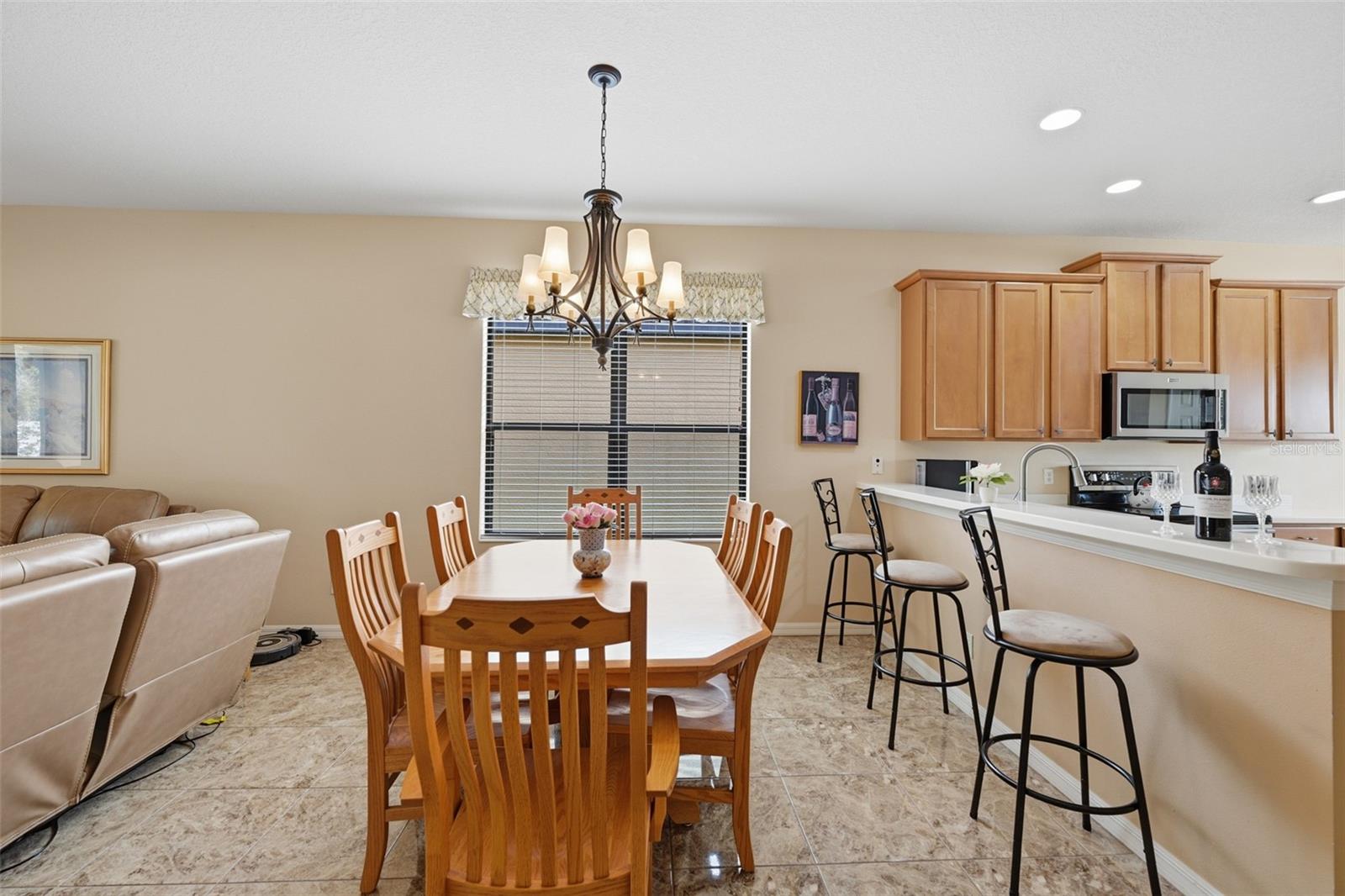 229 SILVER FALLS DR