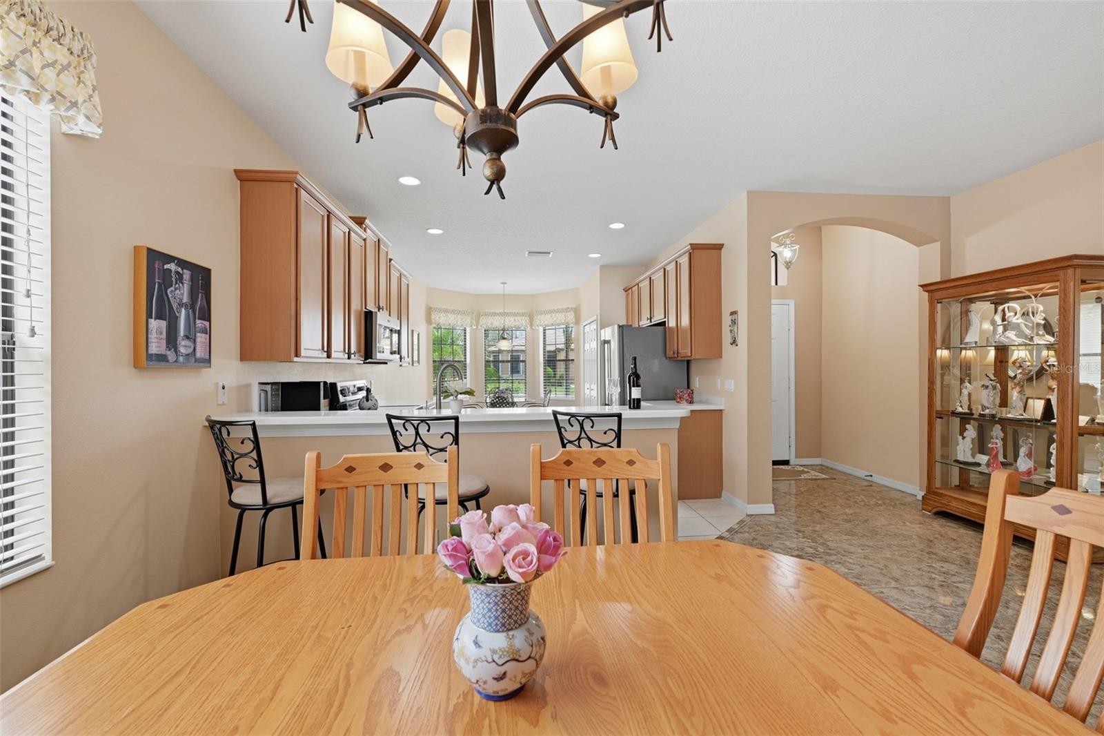 229 SILVER FALLS DR