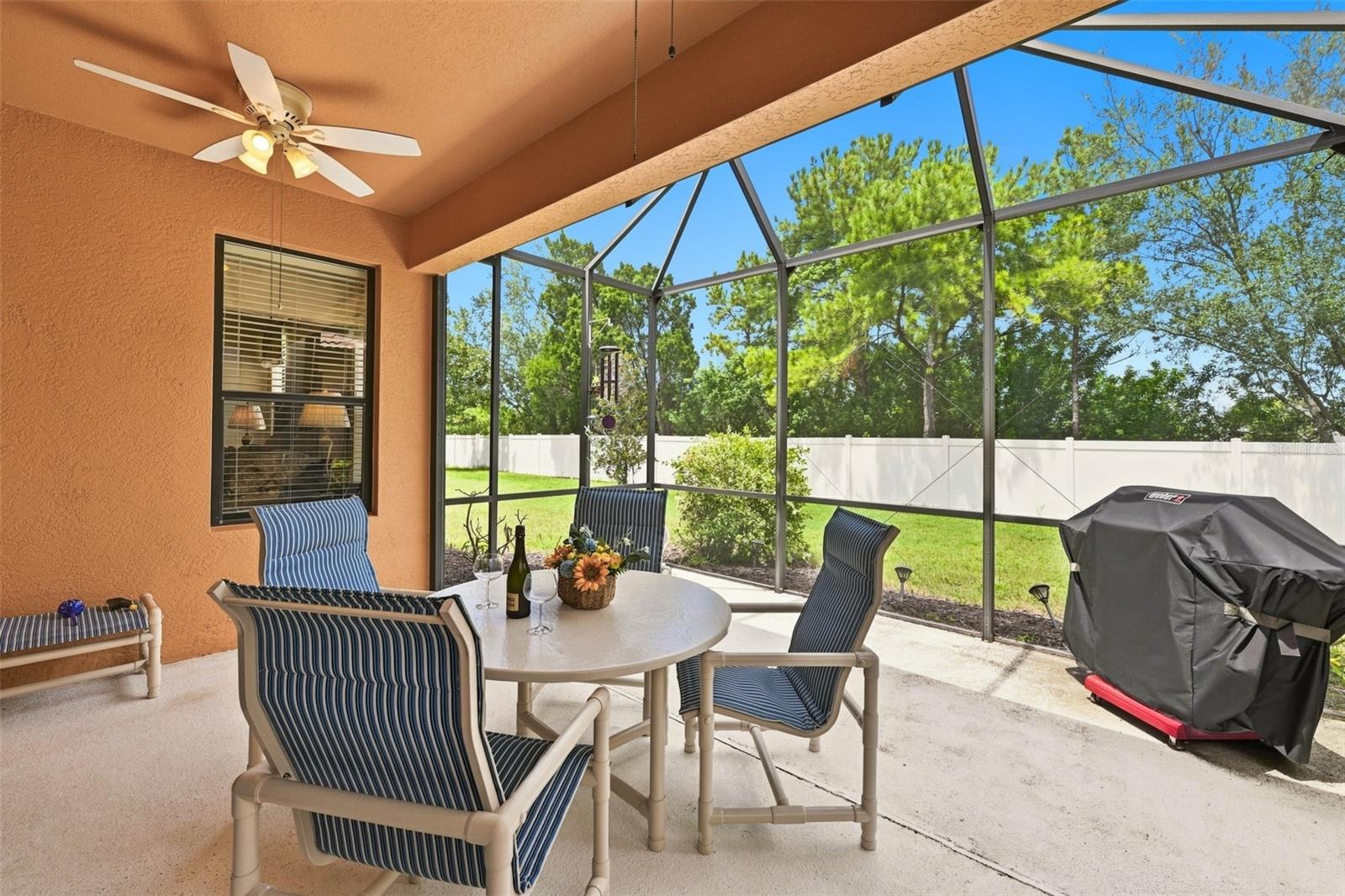 229 SILVER FALLS DR