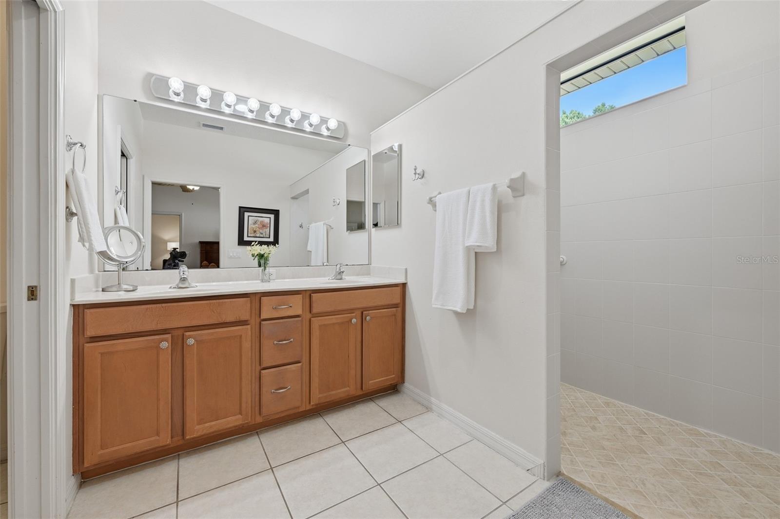 229 SILVER FALLS DR