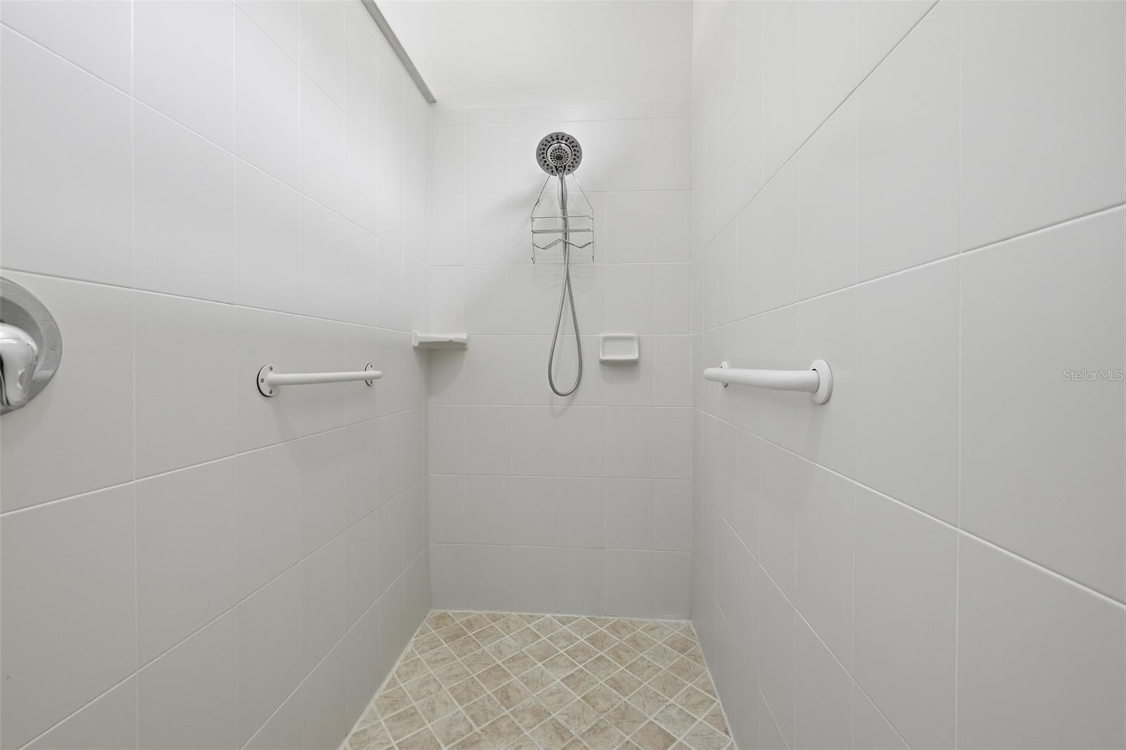 229 SILVER FALLS DR