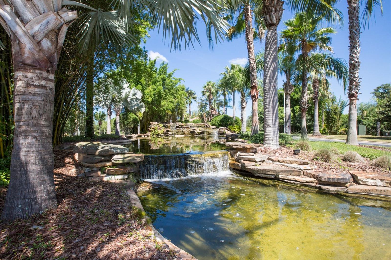 229 SILVER FALLS DR