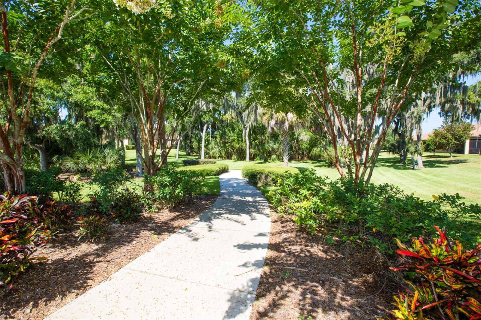 229 SILVER FALLS DR
