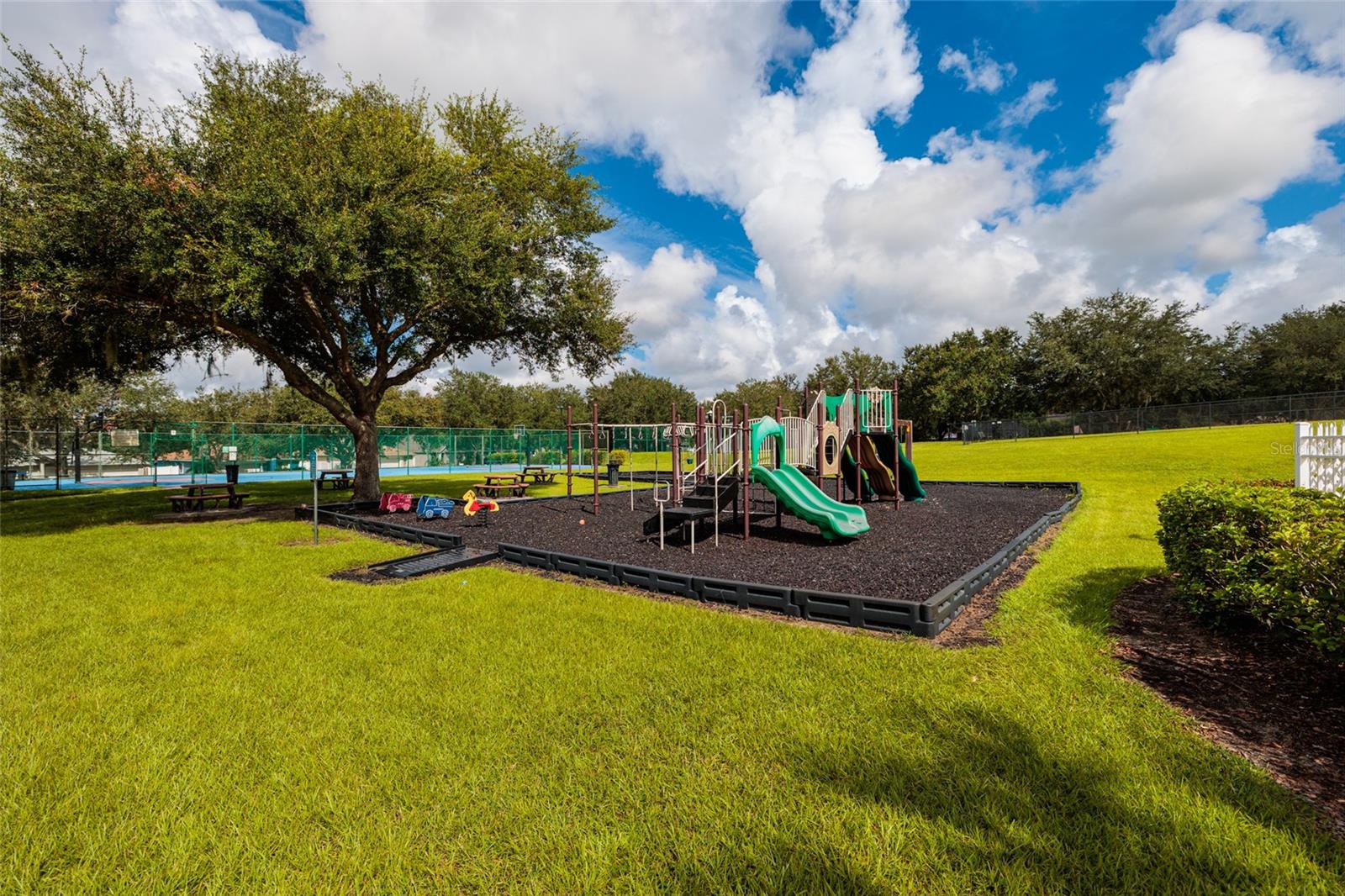 3513 PINE TOP DR