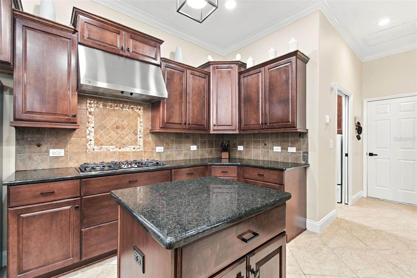 3339 DIAMOND FALLS CIR