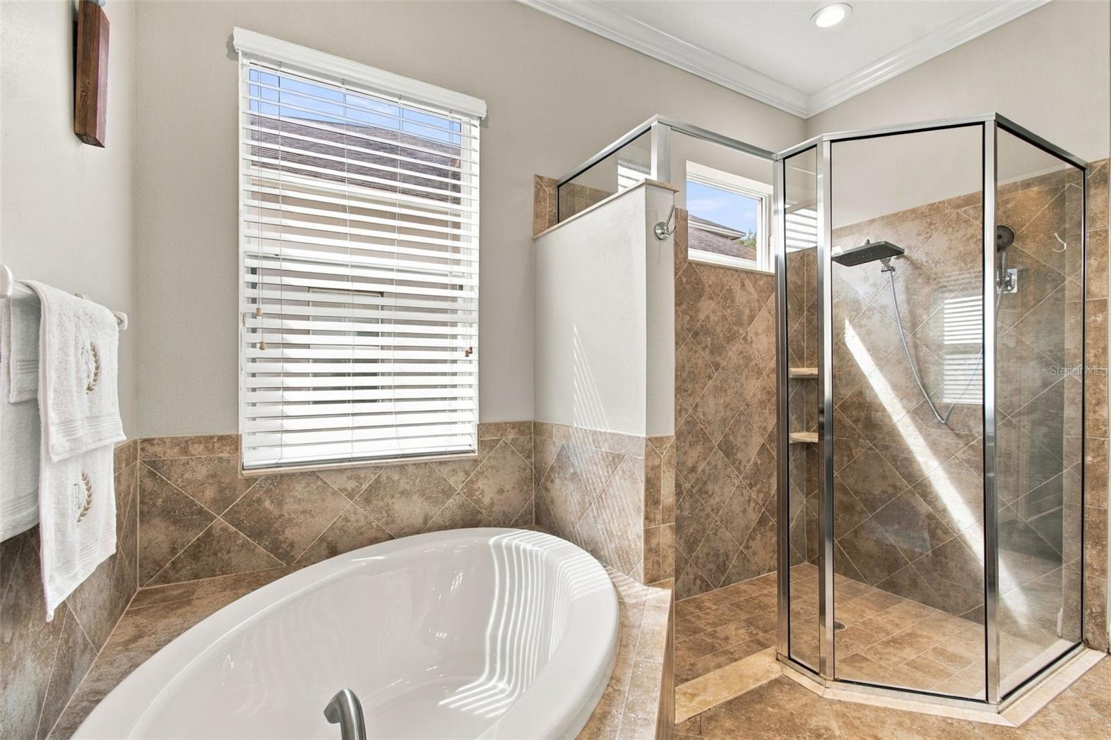 3339 DIAMOND FALLS CIR