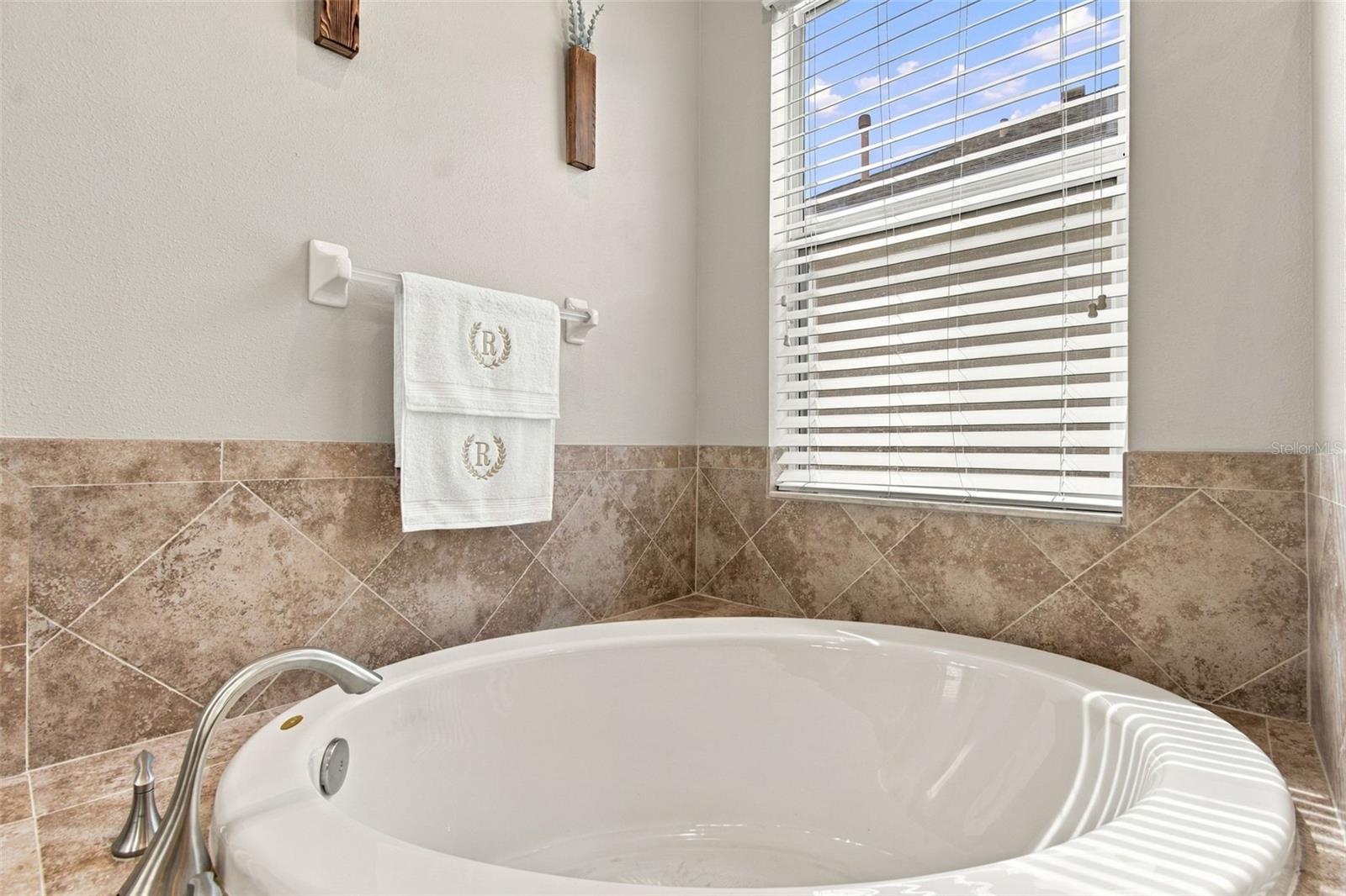 3339 DIAMOND FALLS CIR