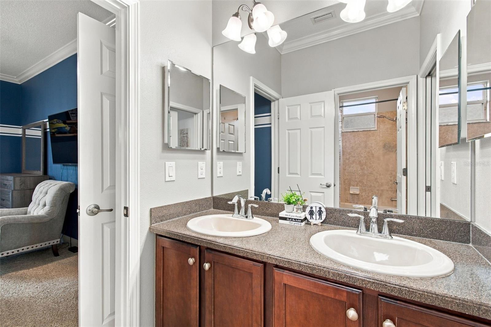 3339 DIAMOND FALLS CIR