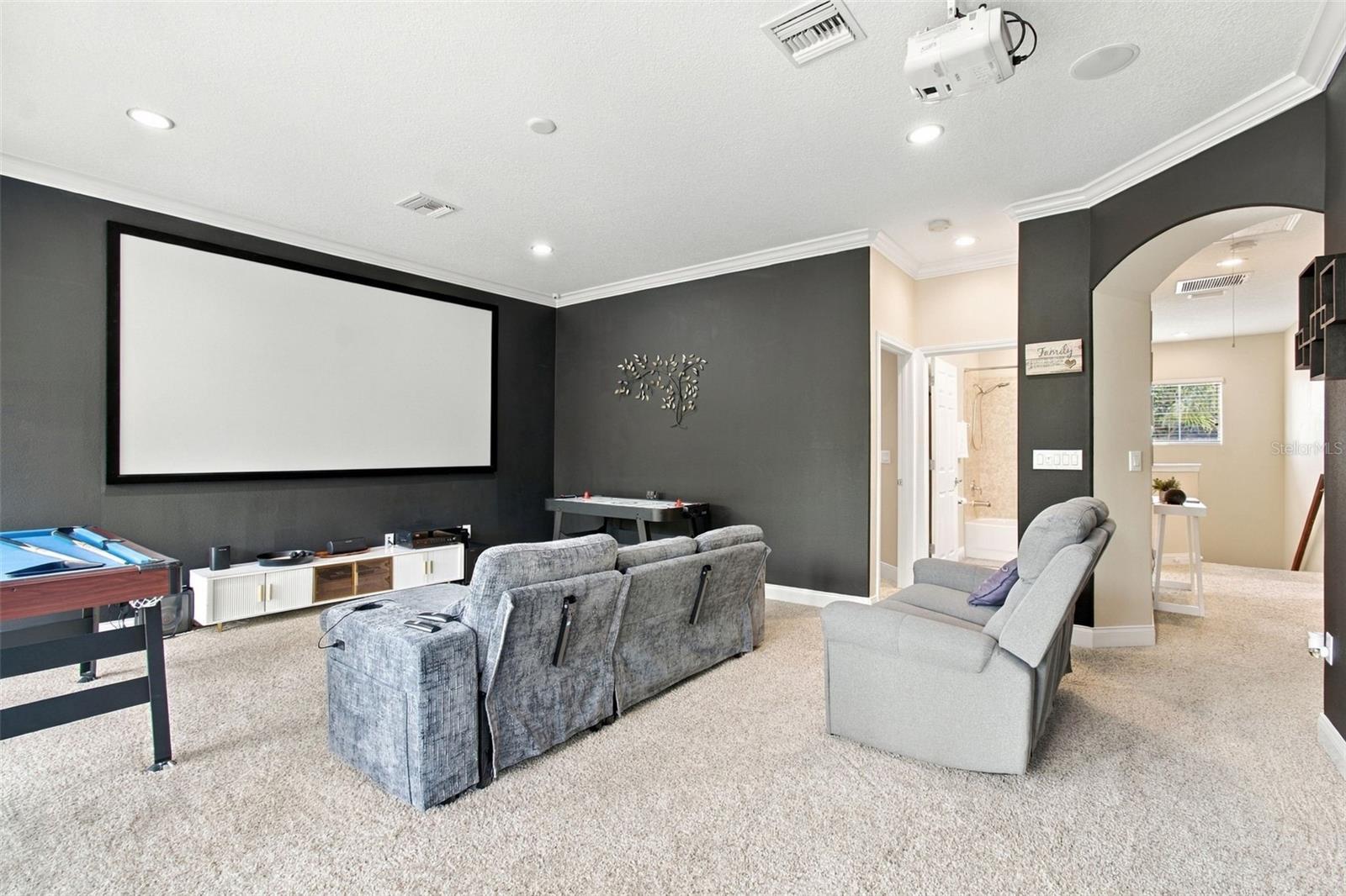 3339 DIAMOND FALLS CIR