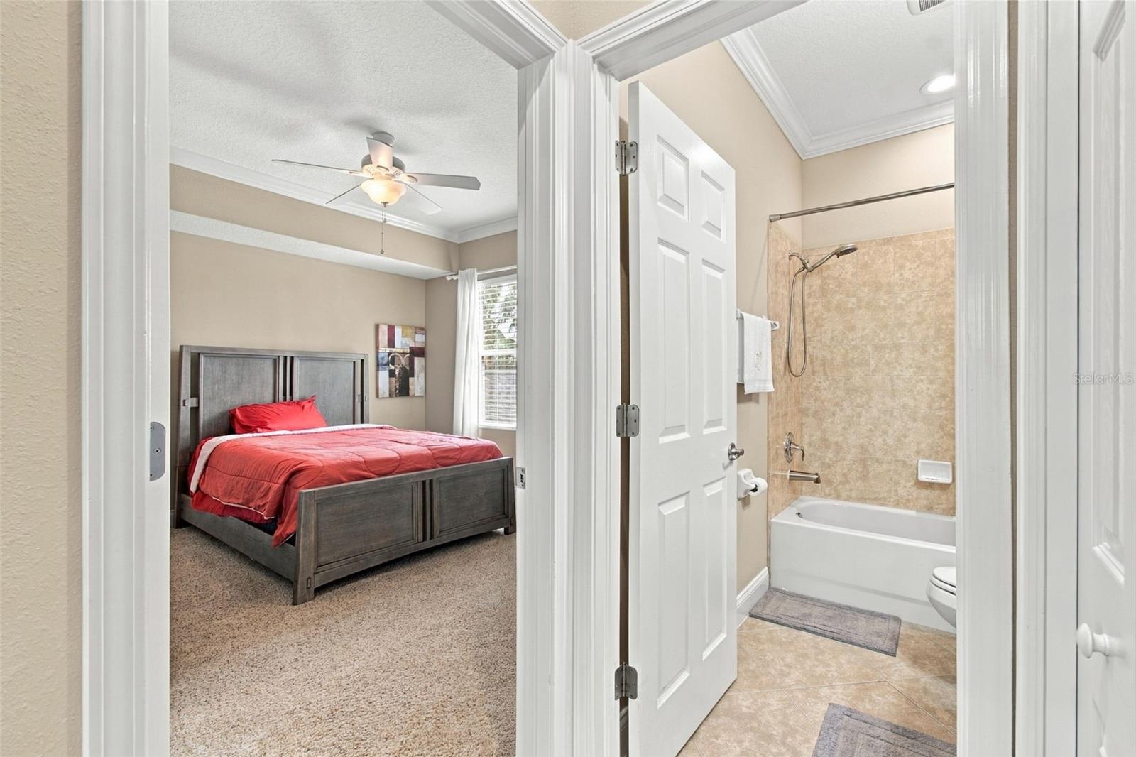 3339 DIAMOND FALLS CIR