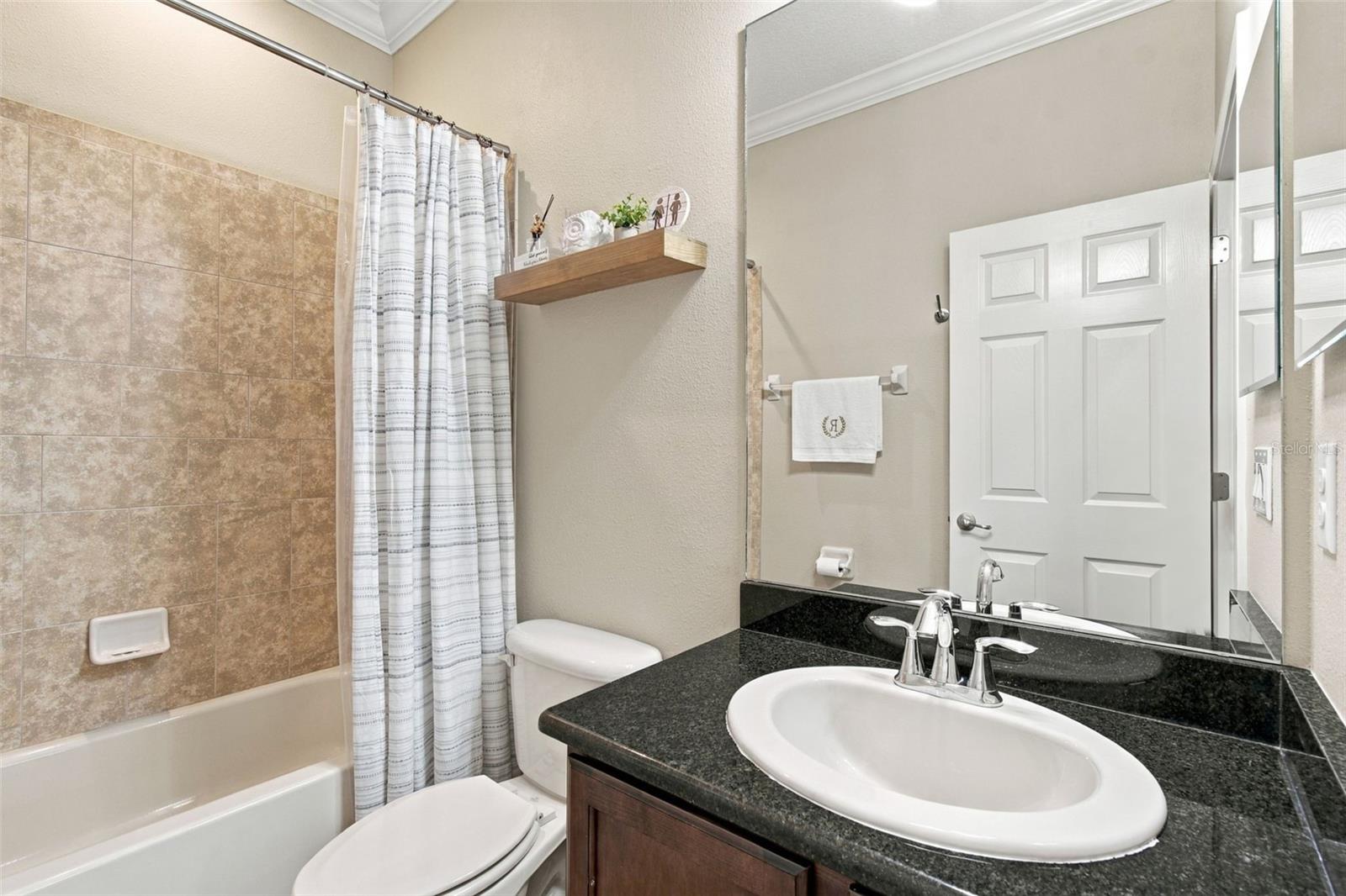 3339 DIAMOND FALLS CIR