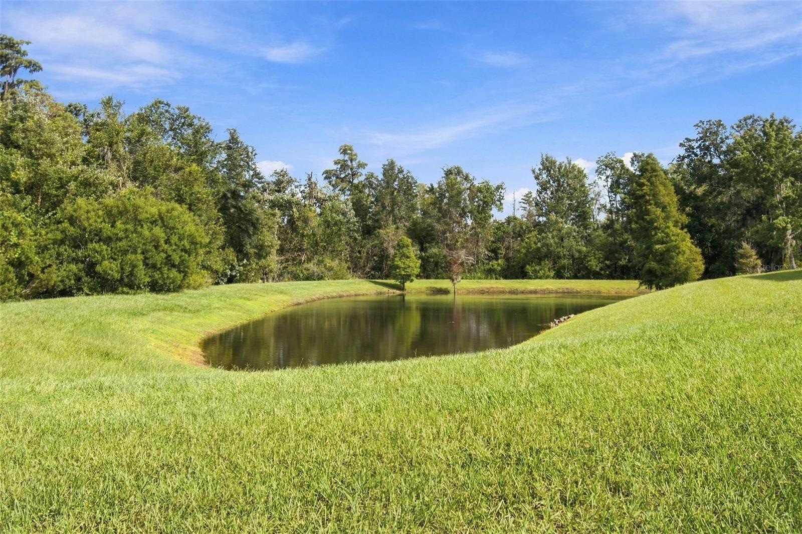 3339 DIAMOND FALLS CIR