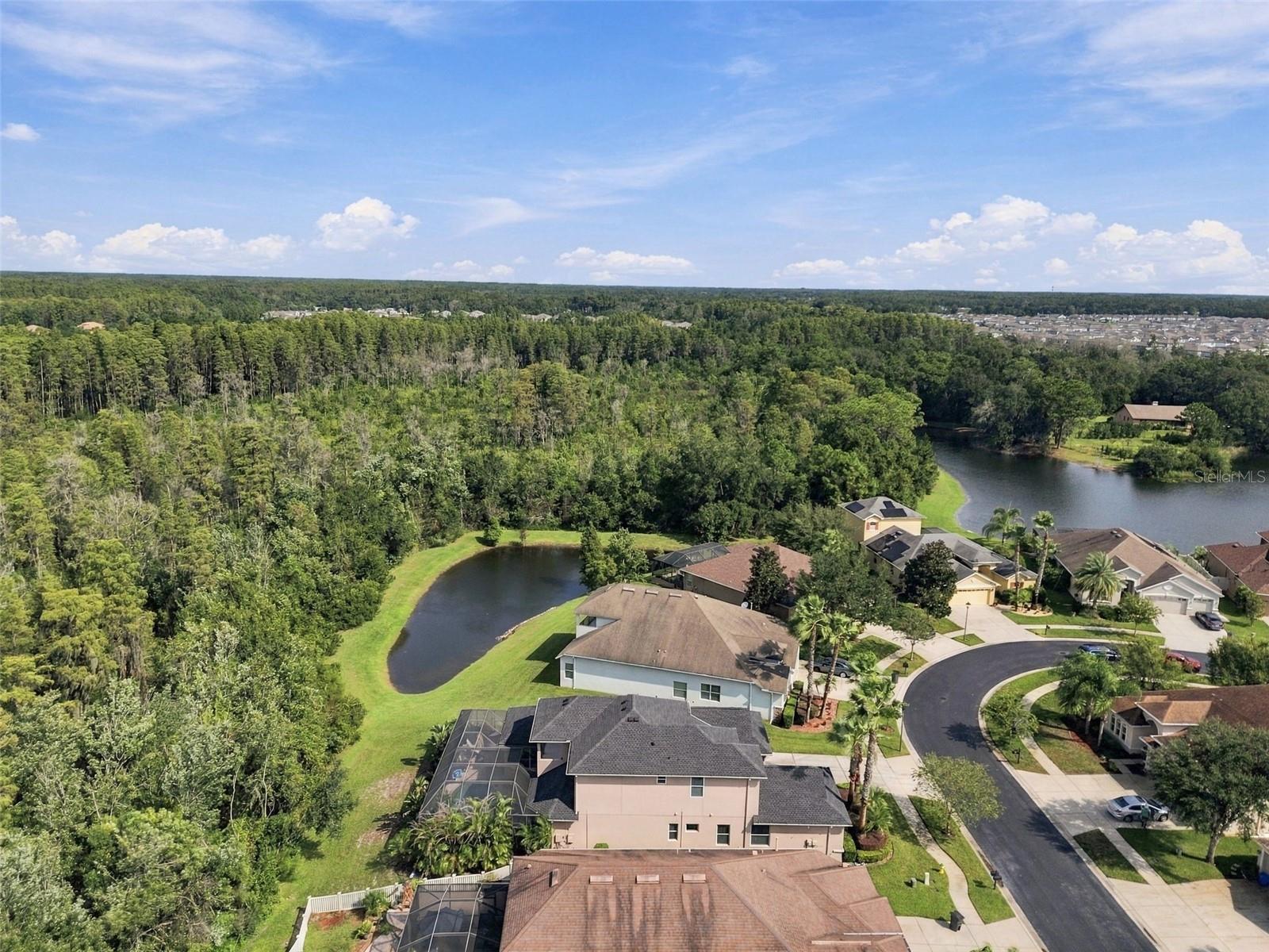 3339 DIAMOND FALLS CIR