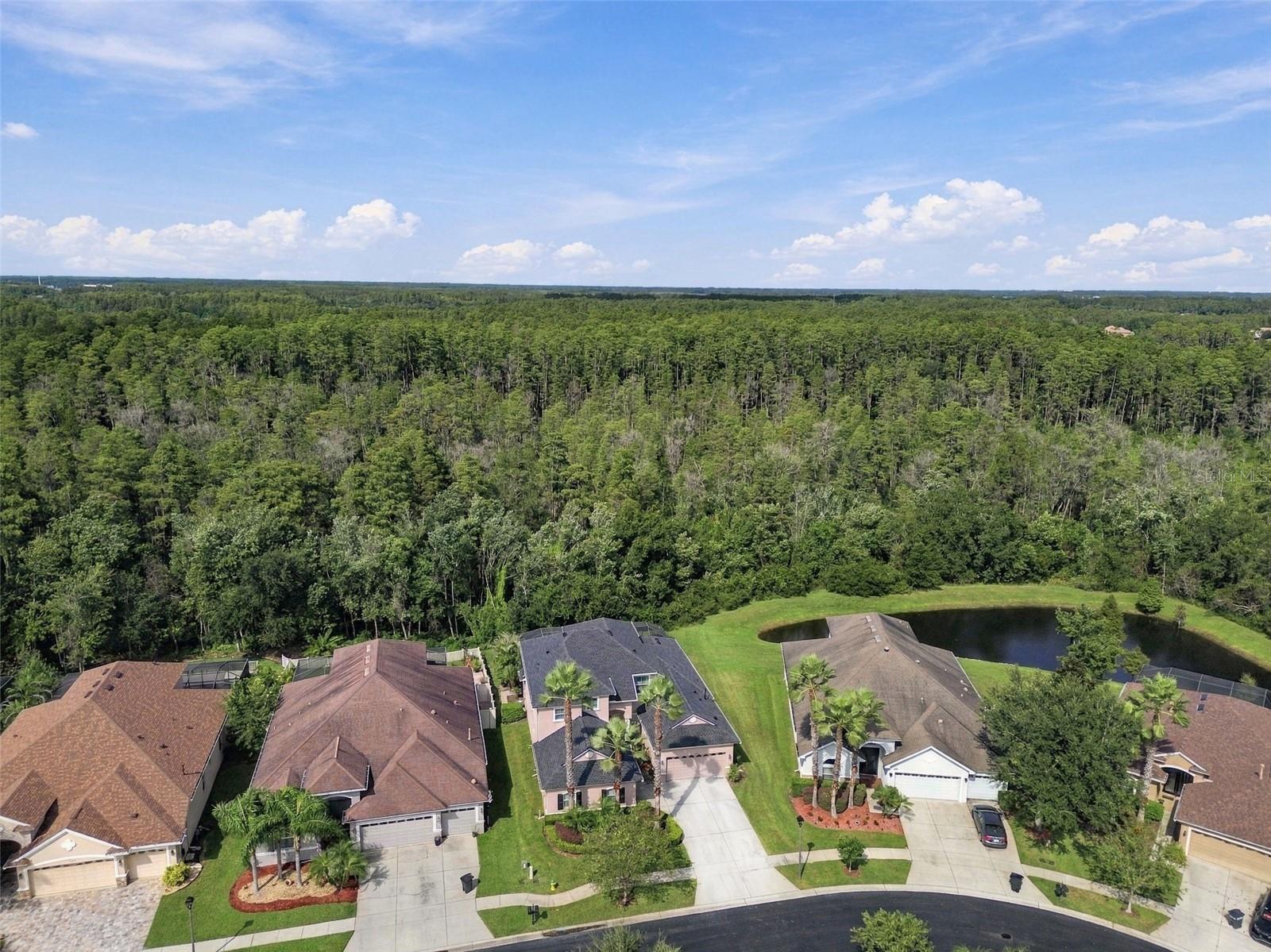 3339 DIAMOND FALLS CIR