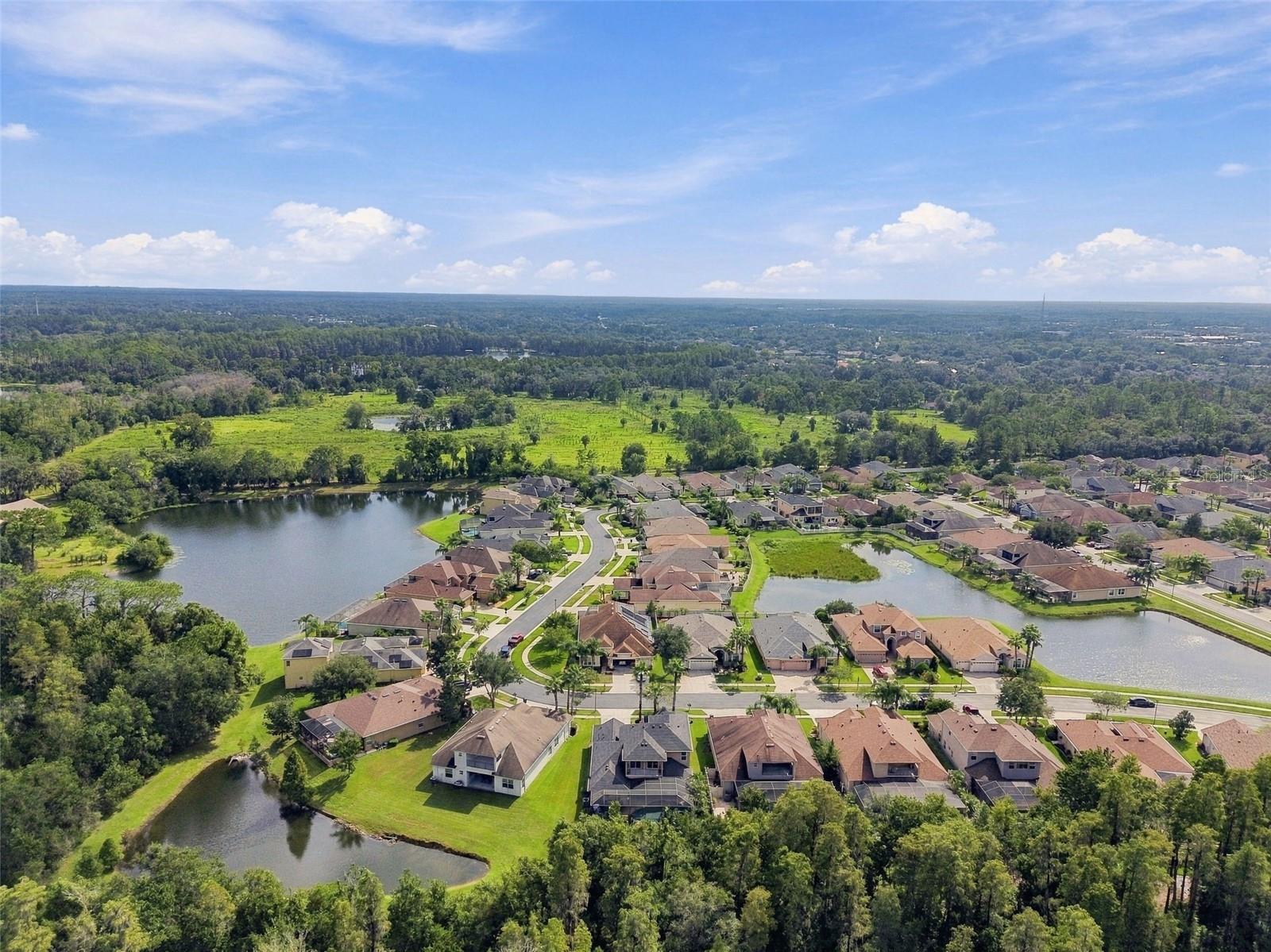 3339 DIAMOND FALLS CIR