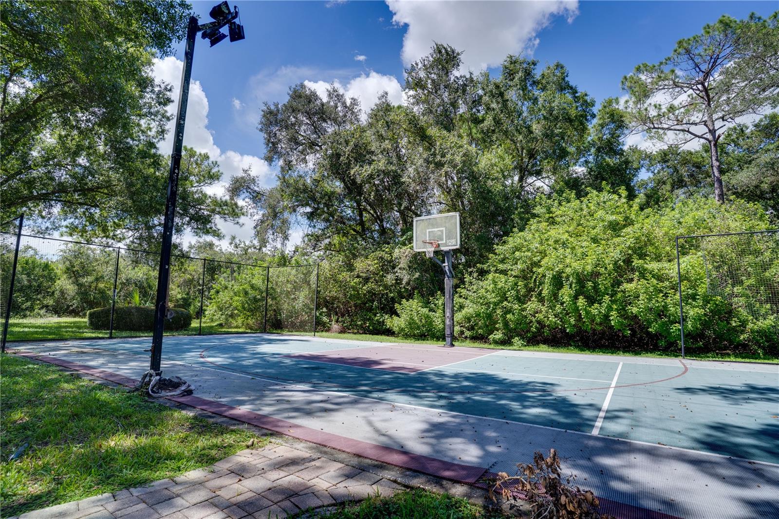 12511 PALOMINO CT