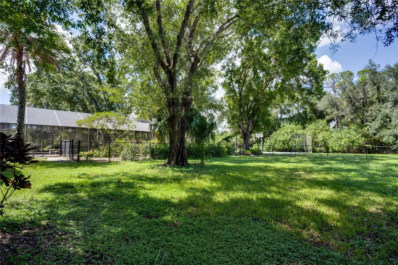 12511 PALOMINO CT