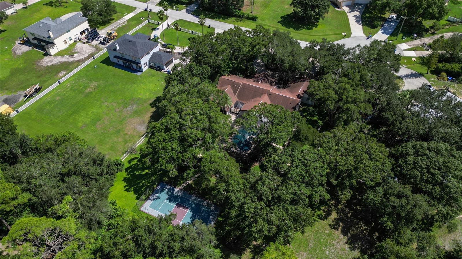 12511 PALOMINO CT