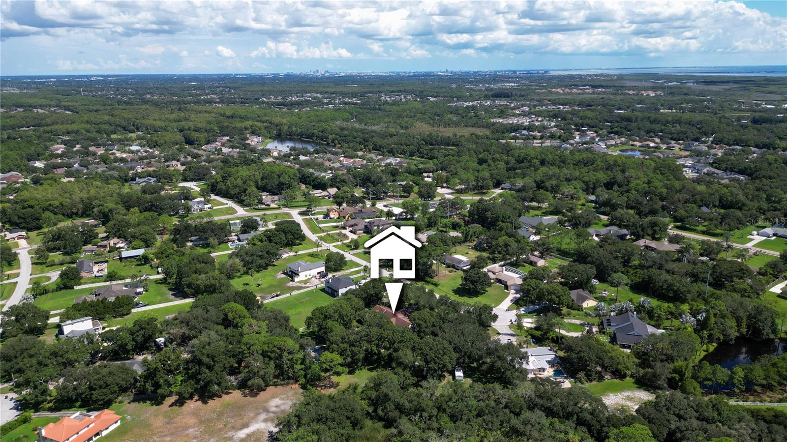 12511 PALOMINO CT