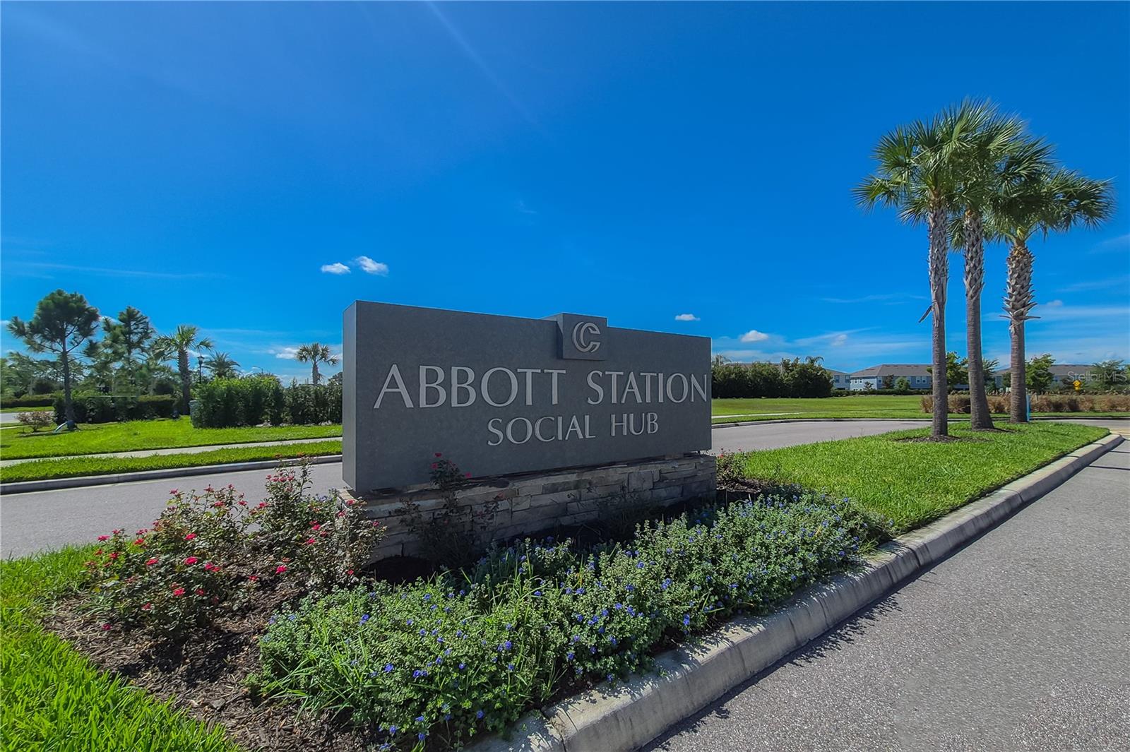 31428 AMBERVIEW BND
