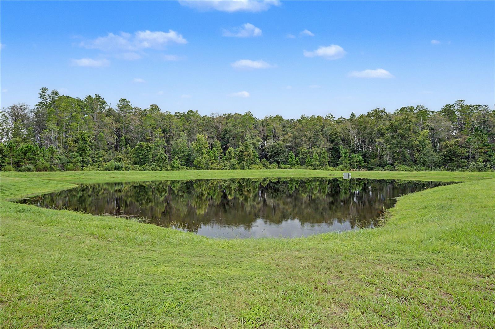 10906 RUSTIC EVE CT