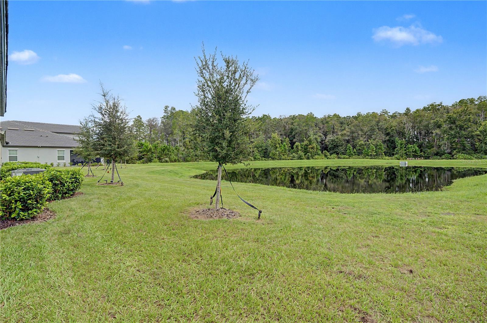10906 RUSTIC EVE CT