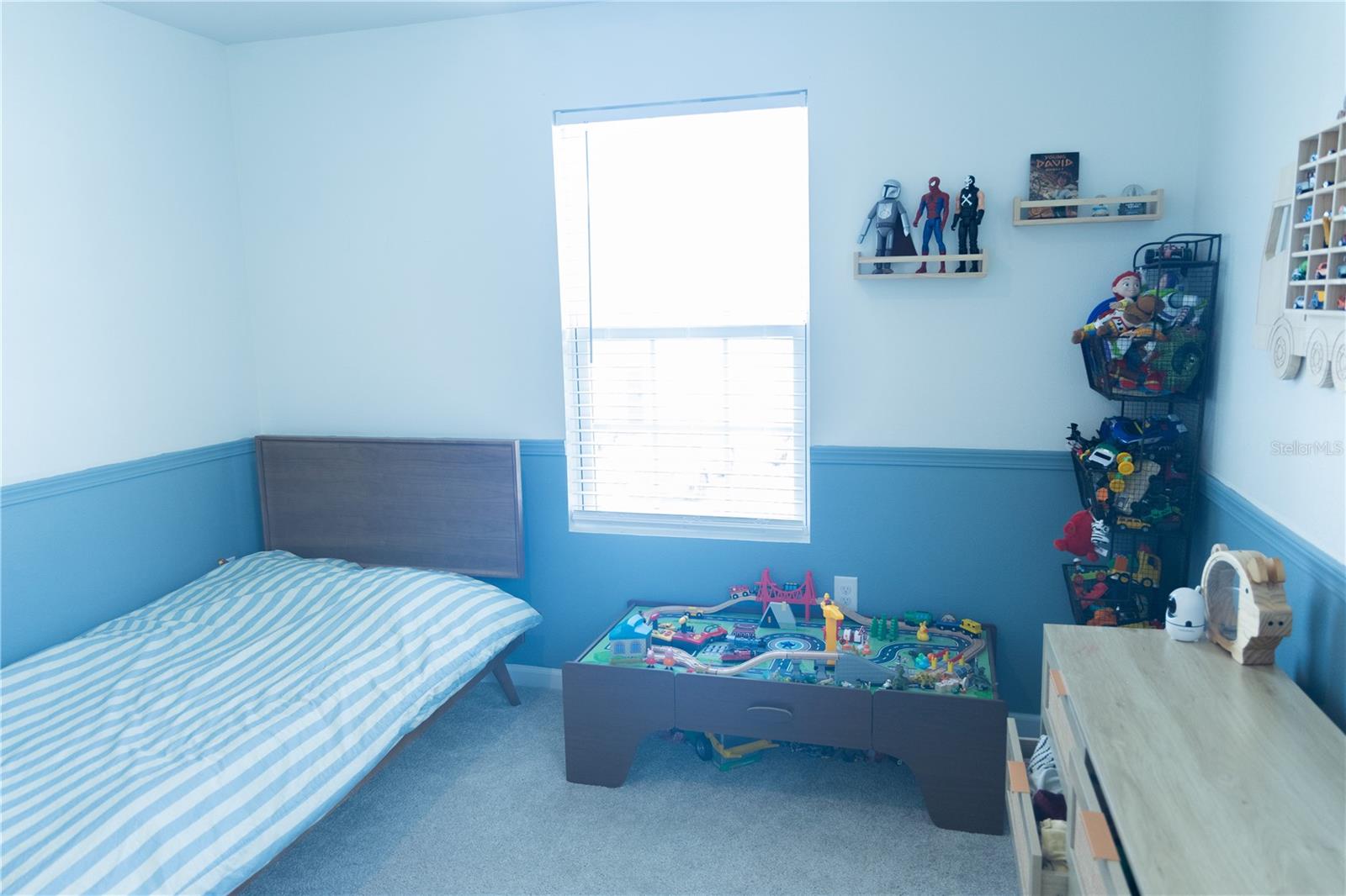11402 SPECTACLED DR