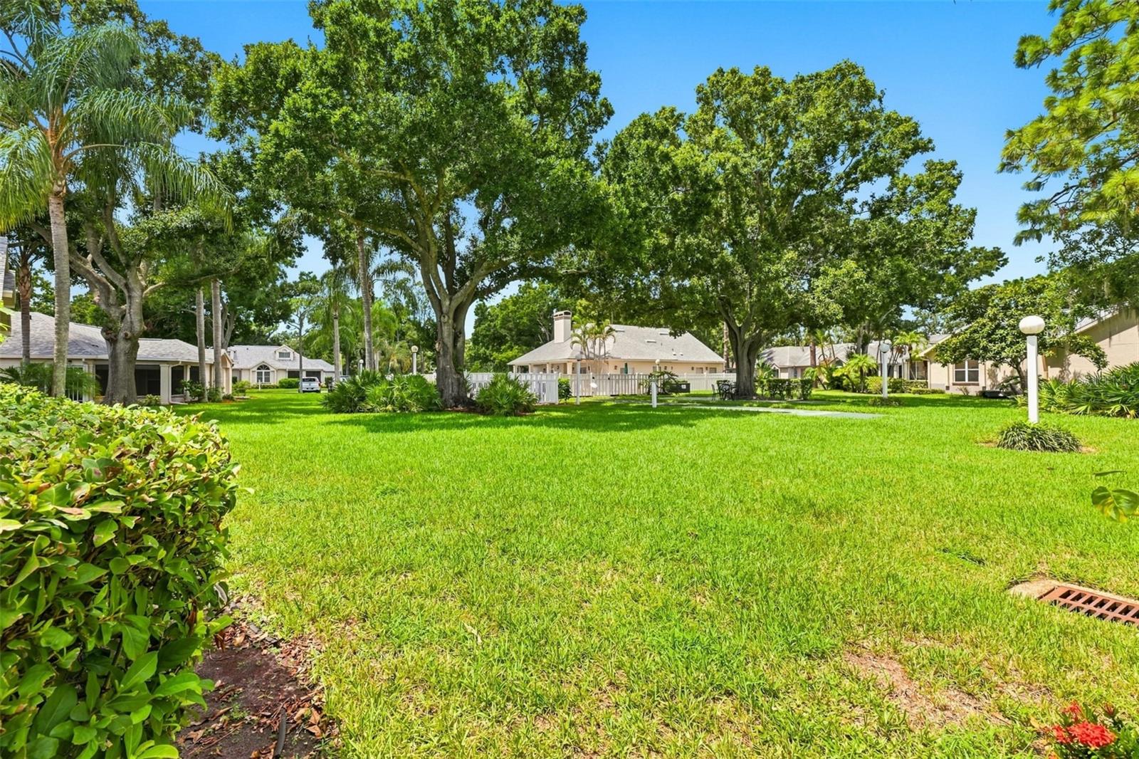 1131 GOLFVIEW WOODS DR