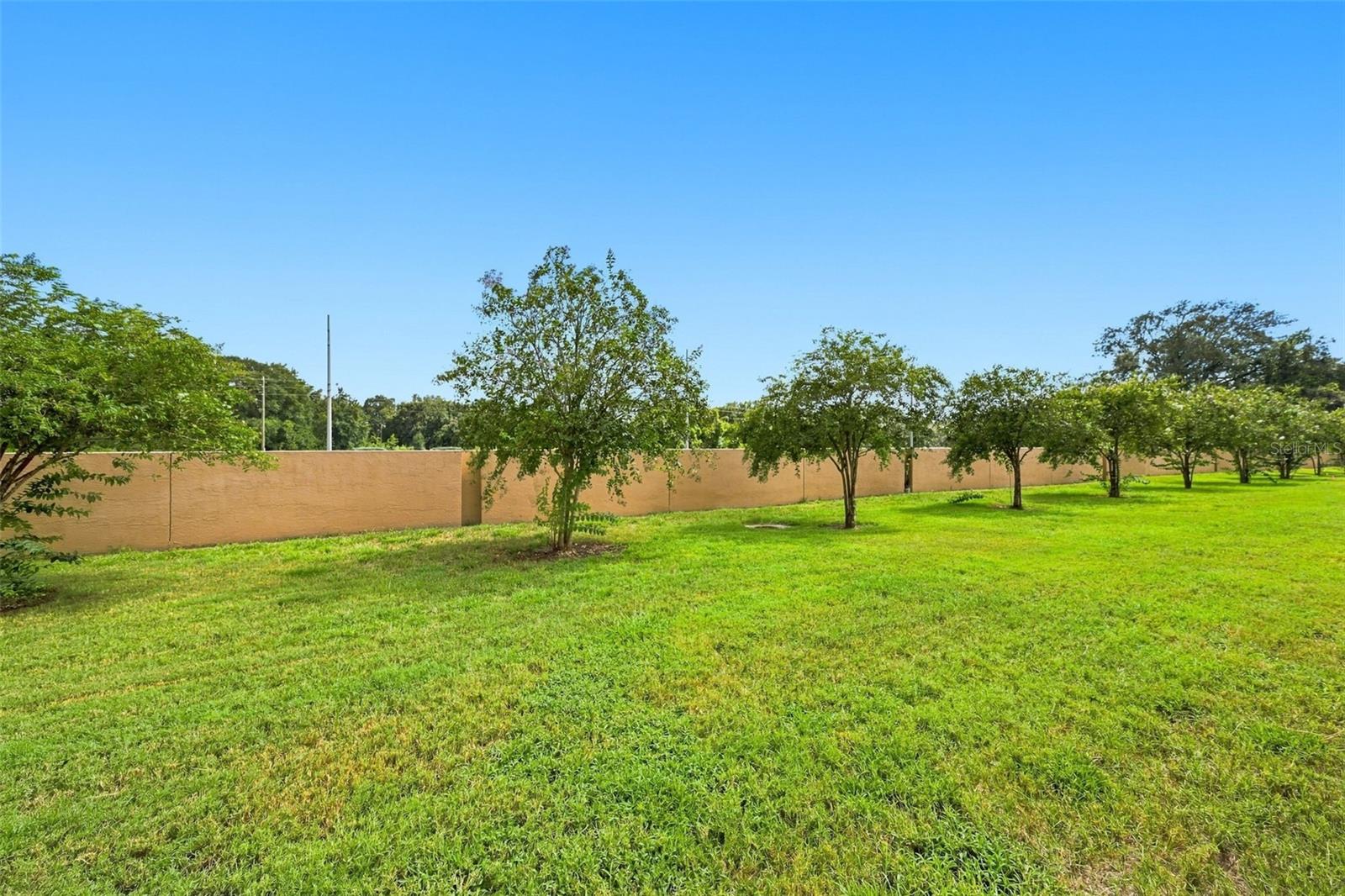 9755 TRUMPET VINE LOOP