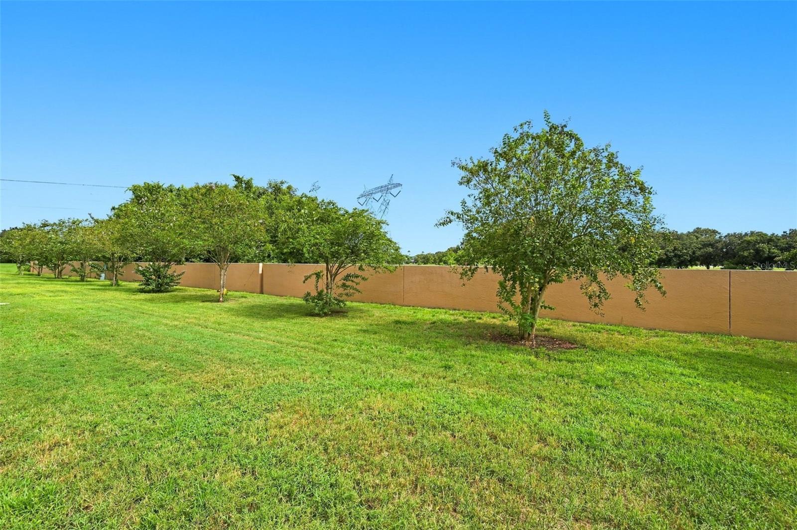 9755 TRUMPET VINE LOOP