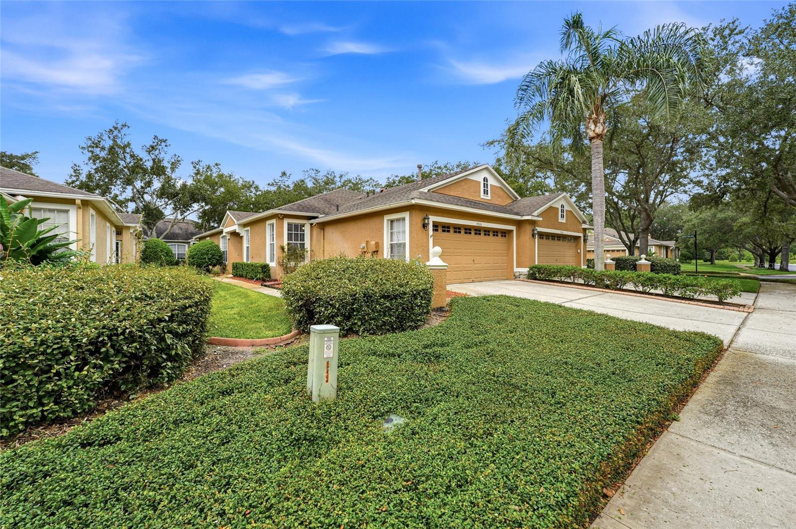 19126 WHITE WING PL