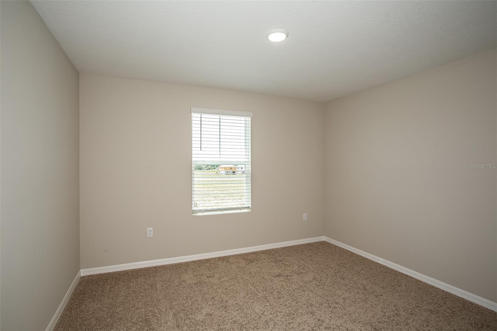36668 THORNHEDGE DR