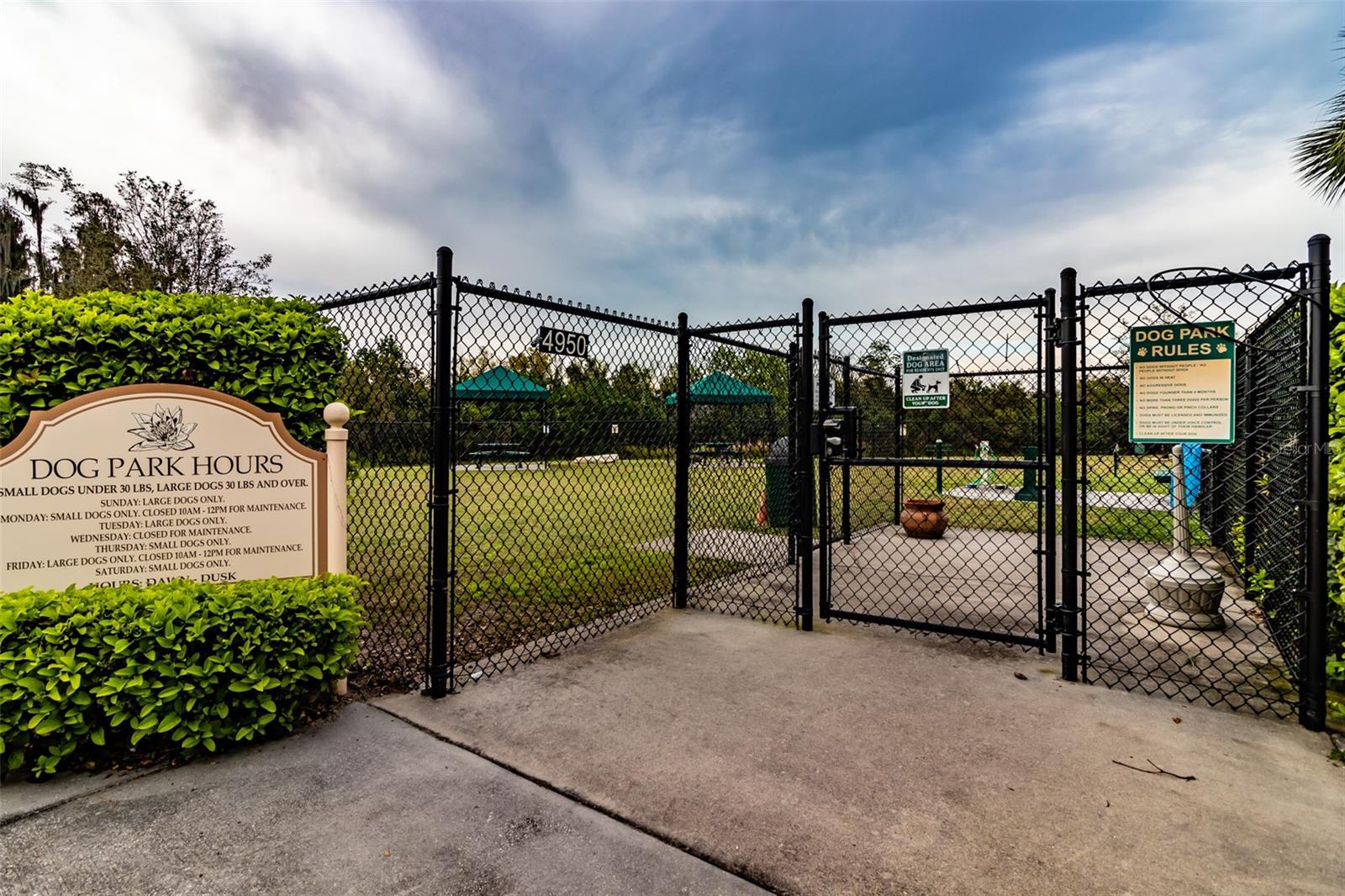 16126 CEDAR KEY DR