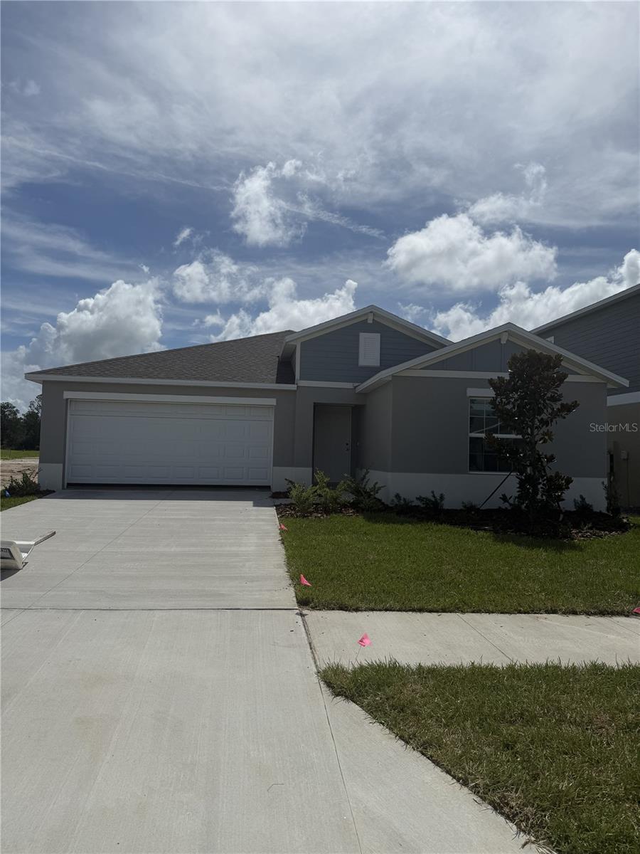 10102 Longhorn Cattle Ln, Wesley Chapel